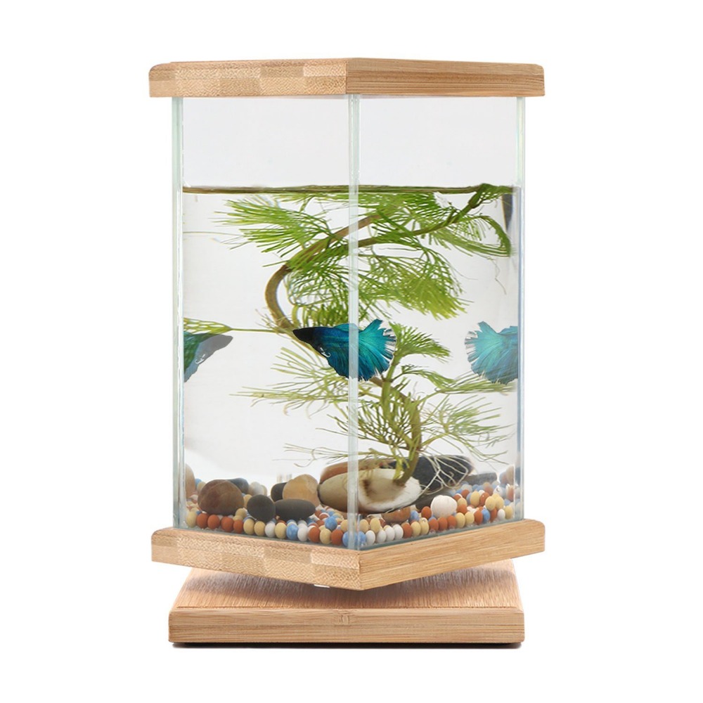 Unique Revolving Desktop 360 Degree Fish Tank With Glass Squ