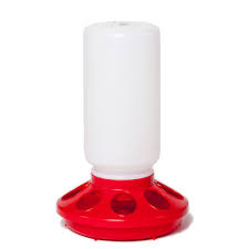 chicken feeder